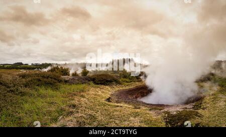 La NOUVELLE ZELANDE, la zone volcanique de Taupo, cratères de la lune le champ géothermique, Banque D'Images