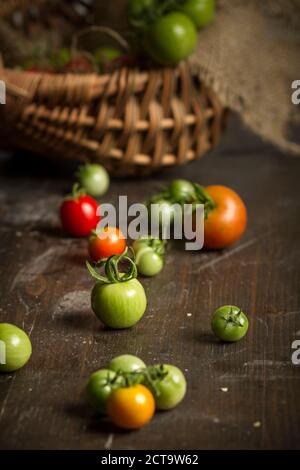 Les tomates rouges et verts différents sur la plaque en bois foncé, studio shot Banque D'Images