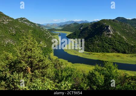 Le Monténégro, Crna Gora, big bend de Rijeka Crnojevica, la rivière Le parc national du lac de Skadar Banque D'Images