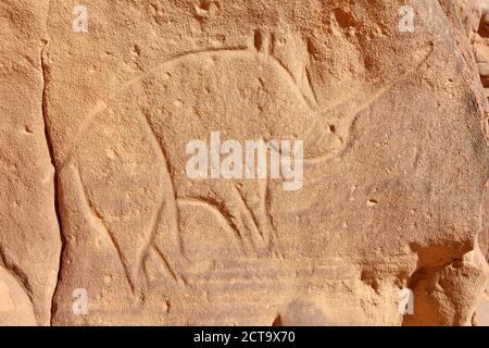 L'Afrique du Nord, Sahara, Algérie, Tassili N'Ajjer, Tadrart, Parc National de l'art rupestre néolithique rock, gravure d'un rhino Banque D'Images