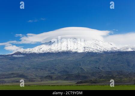 La Turquie, l'Anatolie orientale, de l'Agroalimentaire, la Province au mont Ararat Banque D'Images