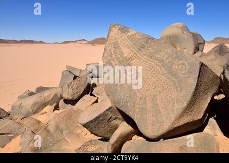 L'Afrique du Nord, Sahara, Algérie, Tassili N'Ajjer Le Parc National, l'art rupestre néolithique, rock gravure d'une girafe Banque D'Images