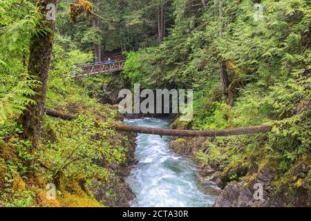 Canada, Colombie-Britannique, Vancouver Island, Little Qualicum Falls Provincial Park Banque D'Images