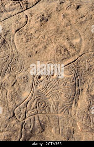 Afrique du Nord, Sahara, Algérie, Parc national de Tassili n'Ajjer, Tadrart, art rupestre néolithique, période Bubaline ou Bubalus, gravure sur roche de la vache maurique Banque D'Images