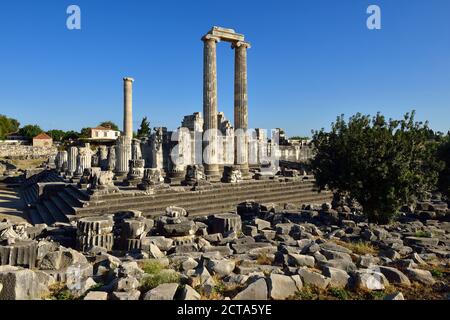 La Turquie, Aydin, Ionie, vue du temple d'Apollon au site archéologique de Didymes Banque D'Images