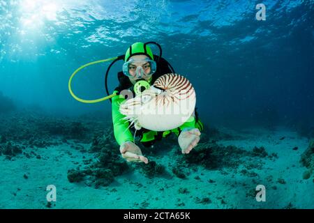 Océanie, Palaos, plongeur regardant Nautilus Nautilus, Palau, belauensis dans l'Océan Pacifique Banque D'Images