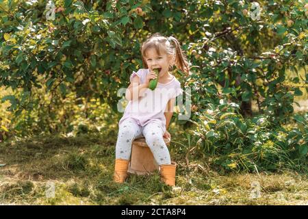 petite belle fille de 4 ans se trouve sous un grand pommier et mange des courgettes de légumes frais. concept alimentaire sain Banque D'Images