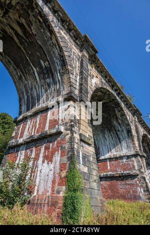 Le viaduc de Sankey dans le parc de la vallée de Sankey à Earlestown. C'est le plus ancien viaduc ferroviaire majeur au monde. Le parc est un parc de campagne linéaire qui Banque D'Images