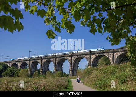 Le viaduc de Sankey dans le parc de la vallée de Sankey à Earlestown. C'est le plus ancien viaduc ferroviaire majeur au monde. Le parc est un parc de campagne linéaire qui Banque D'Images