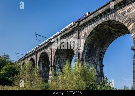 Le viaduc de Sankey dans le parc de la vallée de Sankey à Earlestown. C'est le plus ancien viaduc ferroviaire majeur au monde. Le parc est un parc de campagne linéaire qui Banque D'Images