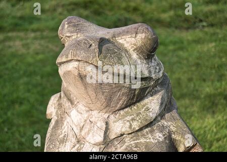 Sculpture de grenouille en bois souriante dans les bois en profitant du soleil sur son visage Banque D'Images