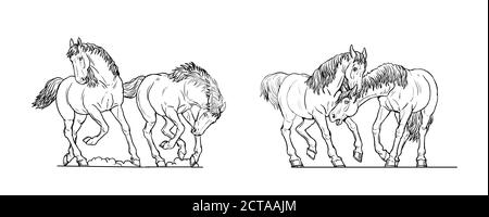 Dessin de chevaux. Chevaux sauvages jouant, courant et combat. Contour du cheval. Banque D'Images