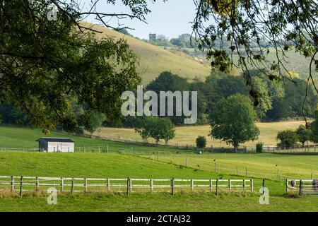 Vue sur les champs jusqu'à Colley Hill et Reigate Hill, dans la région de Surrey Hills, d'une beauté naturelle exceptionnelle, et North Downs, Royaume-Uni, en septembre Banque D'Images