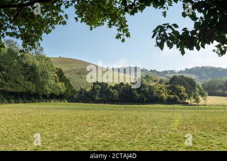 Vue sur les champs jusqu'à Colley Hill et Reigate Hill, dans la région de Surrey Hills, d'une beauté naturelle exceptionnelle, et North Downs, Royaume-Uni, en septembre Banque D'Images