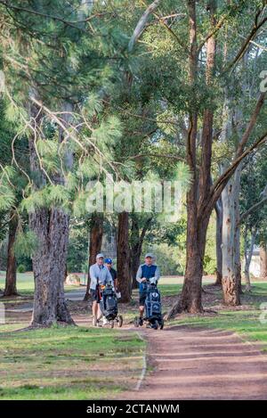 Trois hommes poussent des buggies de golf le long d'un chemin dans le Tôt le matin, sur le parcours de golf Gordon, sur la rive nord de Sydney En Australie Banque D'Images