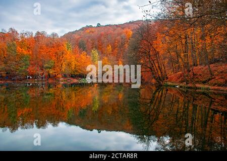 Couleurs d'automne. Feuilles mortes colorées dans le lac. Paysage magnifique. Parc naturel. Photo prise le 10 novembre 2018 Yedigoler. Bolu, Istanbul, Banque D'Images