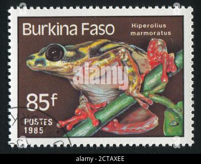 BURKINA FASO - VERS 1985: Timbre imprimé par le Burkina Faso, montre la grenouille, vers 1985. Banque D'Images