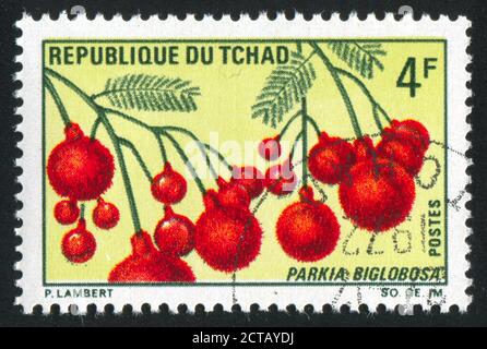 TCHAD VERS 1969: Timbre imprimé par le Tchad, montre Fleur, vers 1969 Banque D'Images