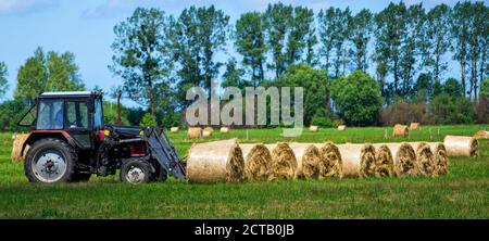 Tracteur rouge transportant des rouleaux de balles de foin - les empilant sur le tas. Machine agricole collectant des balles de foin dans un champ Banque D'Images