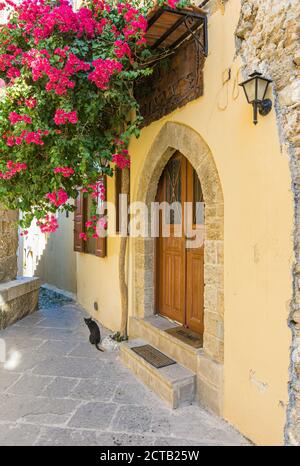 Île grecque image de bougainvilliers grimpant sur une ancienne maison de Rhodes sur l'île de Rhodes, Dodécanèse, Grèce Banque D'Images
