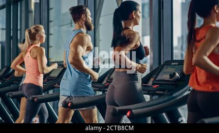 Des sportifs qui s'exécutent sur des tapis roulants, font de l'exercice physique. Athlétique et musculaire les femmes et les hommes s'entraîner activement dans la salle de gym moderne. Sportifs Banque D'Images