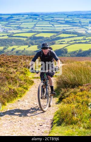 Motard de montagne approchant le sommet de Dunkery Beacon, le point le plus élevé du Somerset et du parc national d'Exmoor (1 705 pieds), Somerset, Angleterre, Royaume-Uni Banque D'Images