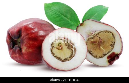 Fruit de pomme malais isolé sur fond blanc Banque D'Images