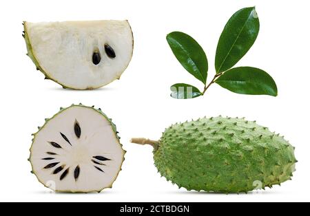 Soursop ou fite de pomme crème anglaise isolé sur fond blanc Banque D'Images