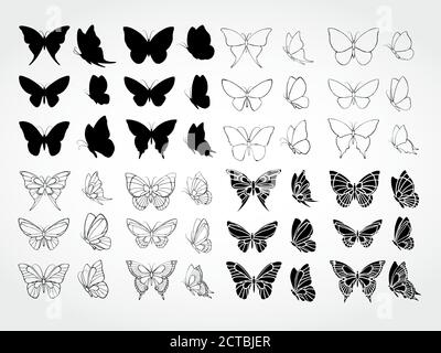 Ensemble vectoriel de papillons Illustration de Vecteur