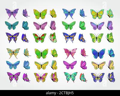 Ensemble vectoriel de papillons colorés Illustration de Vecteur
