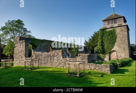 Ruines de l'église Sainte Marie, Newtown, Powys, pays de Galles Banque D'Images