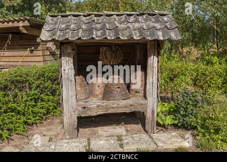 Ruches traditionnelles retournées de la paille dans un jardin avec des plantes et fleurs spéciales pour les abeilles et les insectes Banque D'Images