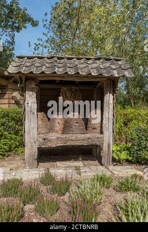 Ruches traditionnelles retournées de la paille dans un jardin avec des plantes et fleurs spéciales pour les abeilles et les insectes Banque D'Images