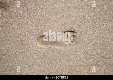 Empreinte du pied humain droit dans le sable. Le Mans empreinte sur la plage de sable vue de dessus, concept de marche seule Banque D'Images