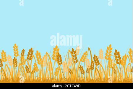 Arrière-plan du champ de blé. Oreilles dorées de céréales contre ciel bleu décoratif zone écologique rurale. Illustration de Vecteur