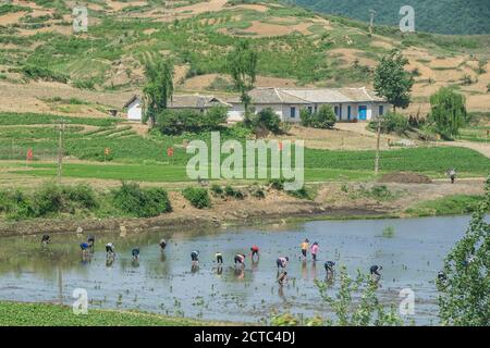 De Pyongyang (Corée du Nord) à Beijing (Chine) train, Corée du Nord Banque D'Images