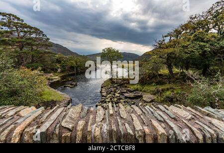 Vue sur la rivière au-dessus du pont dans le parc national pittoresque de Killarny, rencontre des eaux à killarney. Banque D'Images