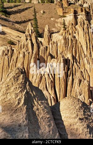 Les hoodoos de tuf volcanique dans la région géologique de Wheeler dans les montagnes de San Juan, Colorado, États-Unis Banque D'Images