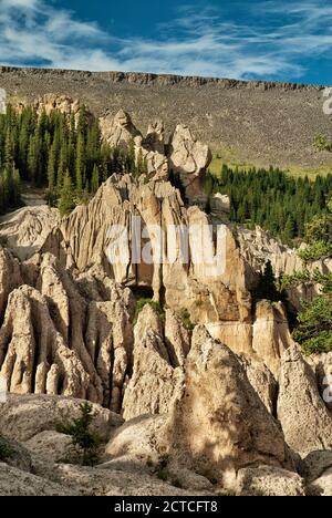 Les hoodoos de tuf volcanique dans la région géologique de Wheeler dans les montagnes de San Juan, Colorado, États-Unis Banque D'Images