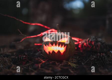 Citrouille d'Halloween avec un visage effrayant sur l'herbe sèche Banque D'Images