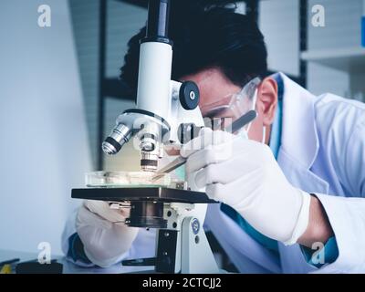 Un scientifique asiatique de sexe masculin travaille sérieusement à l'expérience de chimie avec un microscope en laboratoire, l'image de ton de couleur. Banque D'Images