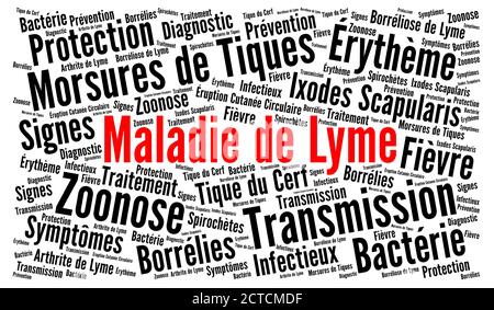 Nuage de mots de la maladie de Lyme en langue française Banque D'Images