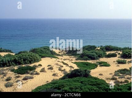 Arbus, Sardaigne, Italie. Dunes du désert de Piscinas (scannées à partir de Kodak EKTACHROME VS) Banque D'Images