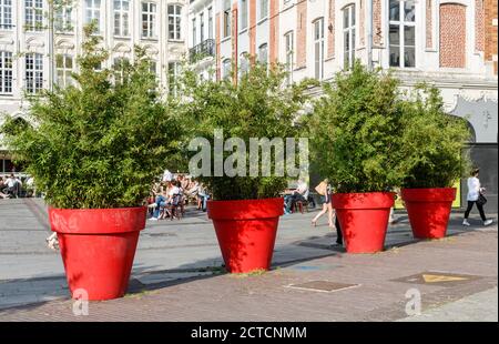 LILLE, FRANCE - 18 juillet 2013. Pots de fleurs rouges géants dans le centre-ville de Lille Banque D'Images