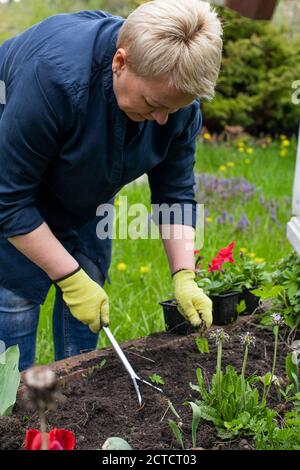 Le jardinier femelle enlève les mauvaises herbes du jardin avec la houe, libère le lit de semis Banque D'Images