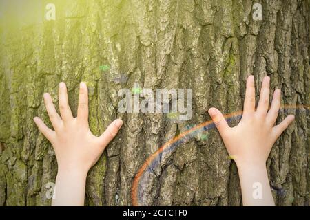 Les mains de l'enfant embrassant un arbre. Banque D'Images