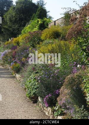 Une longue bordure herbacée contre un grand mur de briques à Waterperry Gardens près d'Oxford, avec la couleur d'automne des gaies, Michaelmas Daisies et helianthus. Banque D'Images