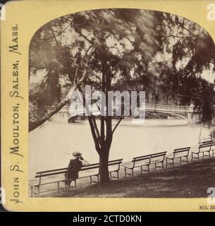 Vue distante sur le pont Bow, Central Park., Chase, W. M. (William M.) (env. 1818-1901), Molton, John S. (v. 1820), New York (État), New York (New York), New York, Central Park (New York, New York), Manhattan (New York, New York Banque D'Images