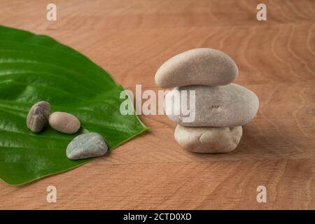 Feuilles vertes, hôtes de chaussée et pierres de divers Velecheny, sur le fond d'une planche en bois Banque D'Images