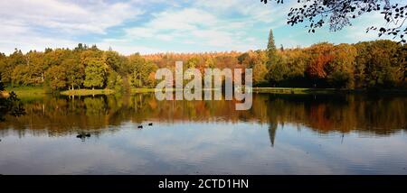 Réflexions d'automne dans le lac à Shear Water. Banque D'Images